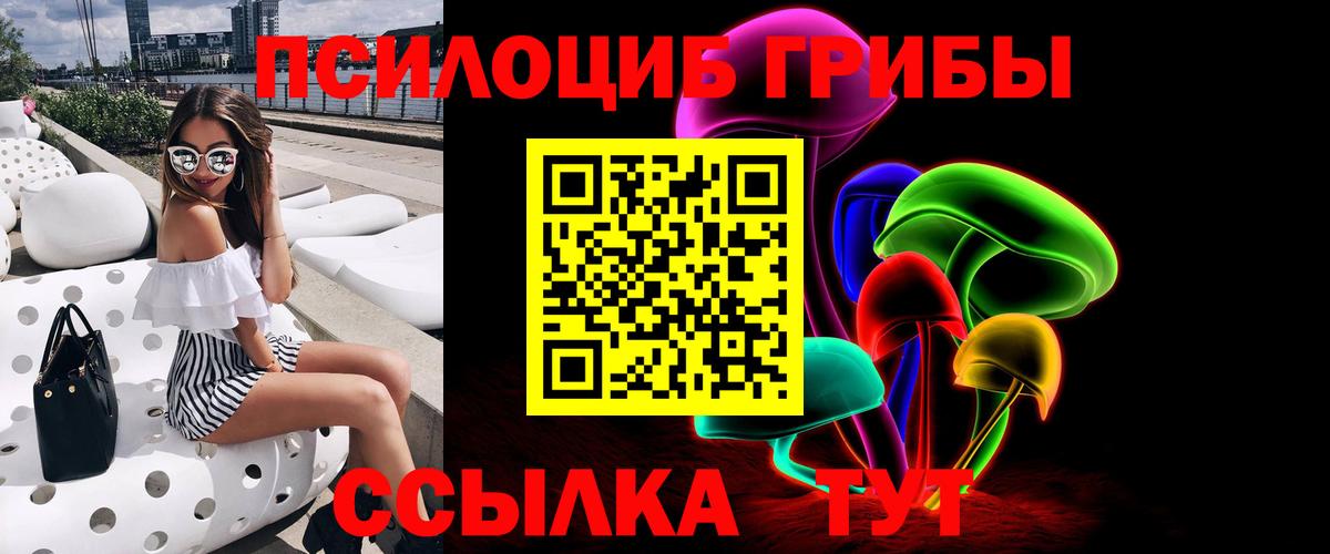 Псилоцибиновые грибы прущие грибы  Вход с VPN  Чехов 